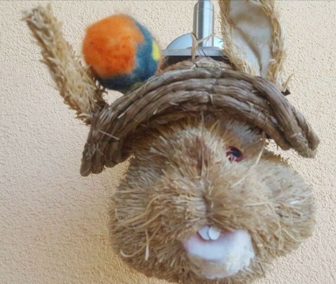 zu sehen ist ein Osterhase
